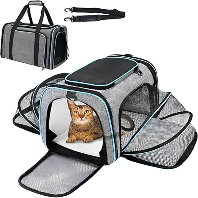 Sac à dos de transport pliable - Foldable Backpack Small avis et prix